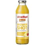Ingwer Shot Zitrone Honig
