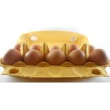 Eier - 10er-Packung - Größe XL