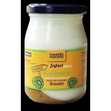 Joghurt fettarm Kiwibeere