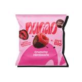nucao Fruits Crunchy Raspberries