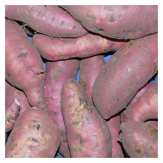 Batate Süßkartoffel Deutschland