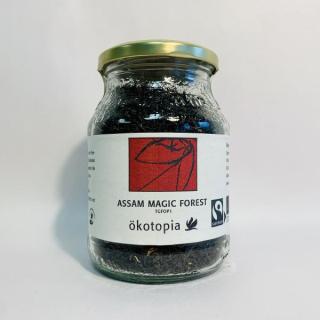 Assam Magic Forest