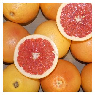 Grapefruit rot Star Ruby Südafrika