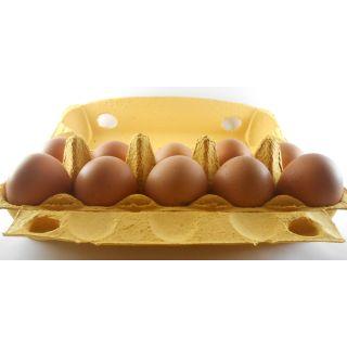 Eier - 10er-Packung - Größe XS