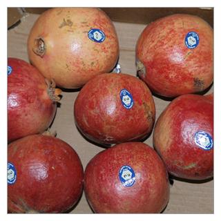 Granatapfel [kg-Preis]