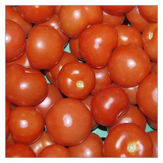 Salattomate