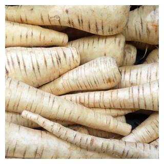 Pastinake