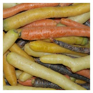 Möhren bunt Deutschland