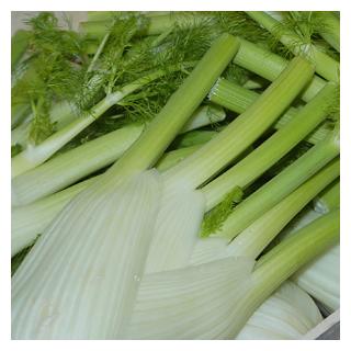 Fenchel Deutschland