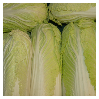 Chinakohl [kg-Preis]