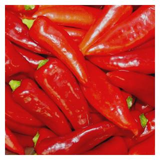 Paprika rot - Spitzpaprika - Deutschland