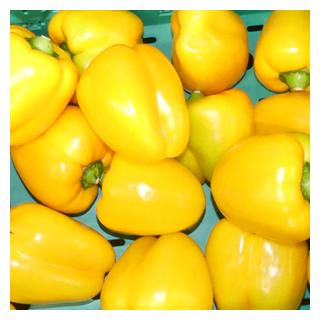 Paprika aus Deutschland