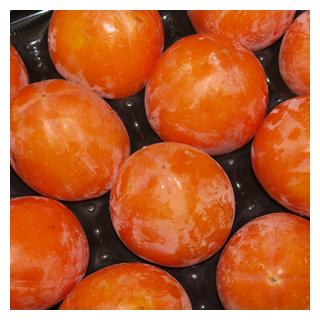 Kaki Rojo Brilliante Spanien