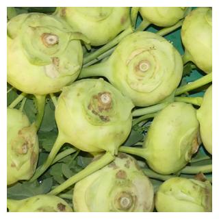 Kohlrabi Deutschland