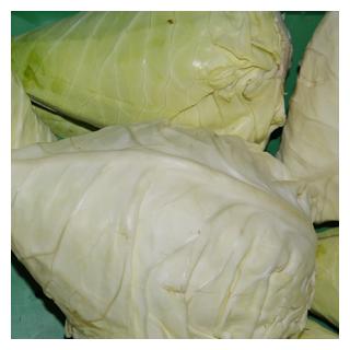 Spitzkohl Deutschland