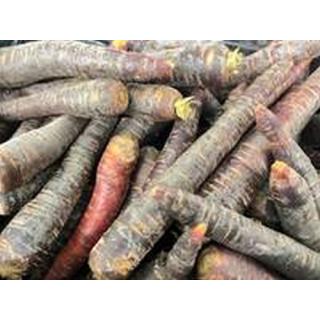 Möhre lila Deutschland