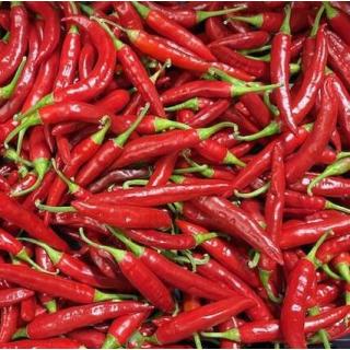 Chili