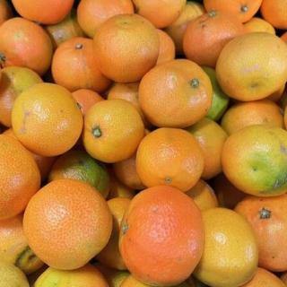 Clementine 1-4 Spanien (gemischte Größen)