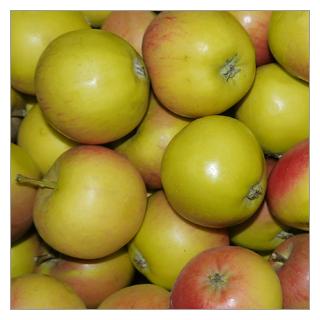 Apfel - "Kinderapfel", klein, wechselnde Sorten