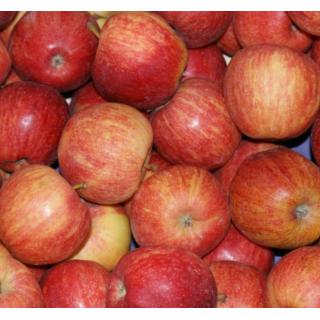 Apfel Gala Italien