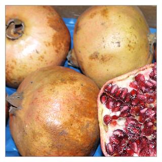 Granatapfel Peru [kg-Preis]