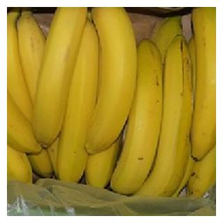 Bananen Dominikanische Republik