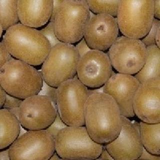 Kiwi Gold Italien