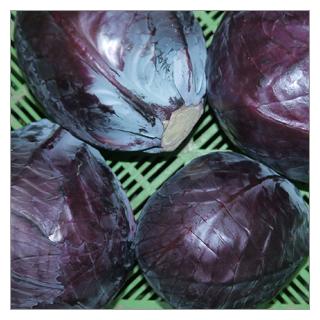 Rotkohl Deutschland