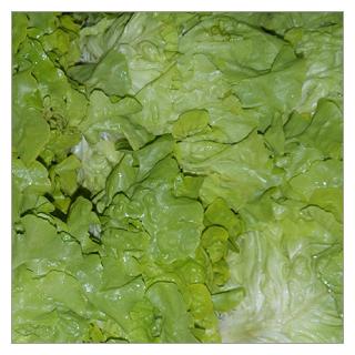 Eichblattsalat grün Deutschland