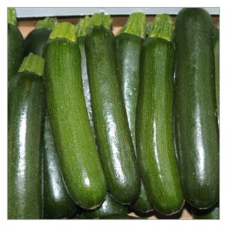 Zucchini Italien