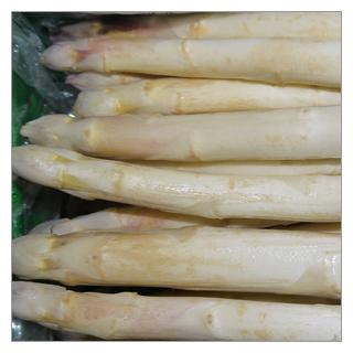 Spargel weiß/violett