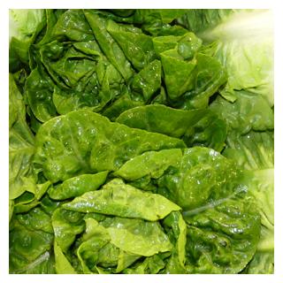 Auberginen-Mix