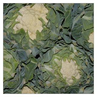 Blumenkohl Frankreich