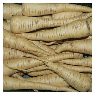 Pastinake