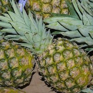 Ananas Extra Sweet