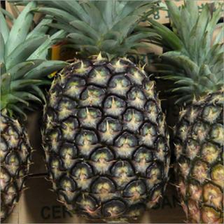 Ananas Extra Sweet