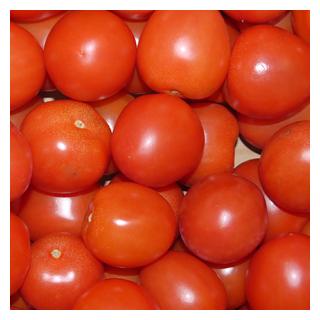 Tomaten - Eiertomate Spanien