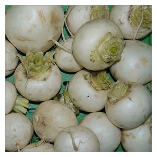 Mairübchen im Bund Deutschland