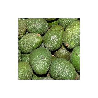 Avocado Peru - Miniavocado