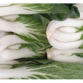 Pak Choi