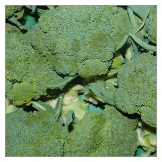 Broccoli Deutschland