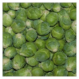 Rosenkohl Frankreich