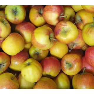 Apfel - "Kinderapfel", klein, wechselnde Sorten