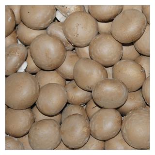 Champignons creme