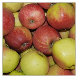 Apfel Elstar
