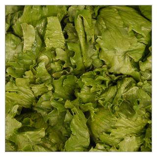 Eisbergsalat