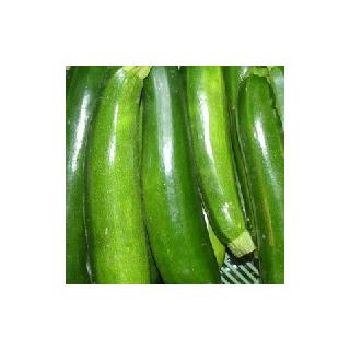 Zucchini