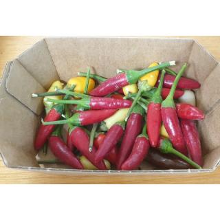 Chili/Peperoni ca.50g [kg-Preis]