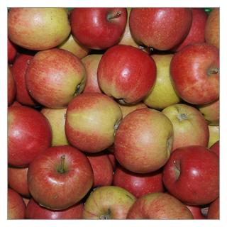 Apfel Resi