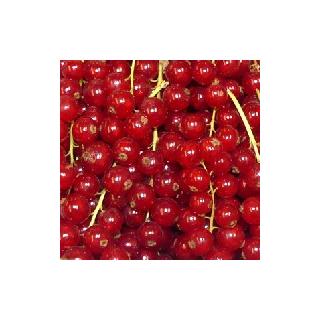 Johannisbeeren rot ca.250g [kg-Preis]